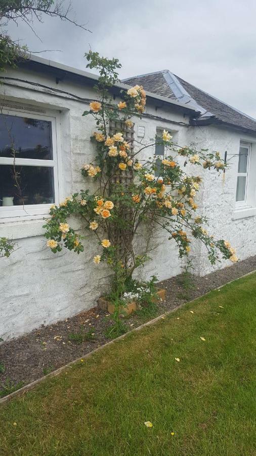 Barcloy Honey House Villa Kirkcudbright Luaran gambar