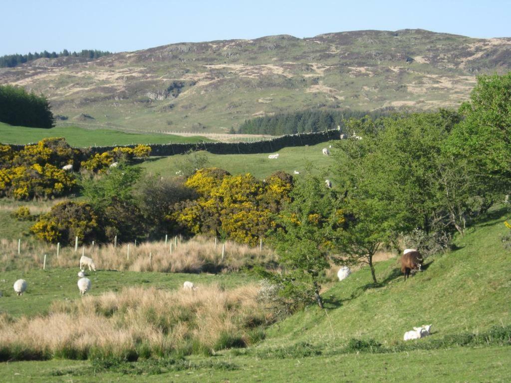 Barcloy Honey House Villa Kirkcudbright Luaran gambar